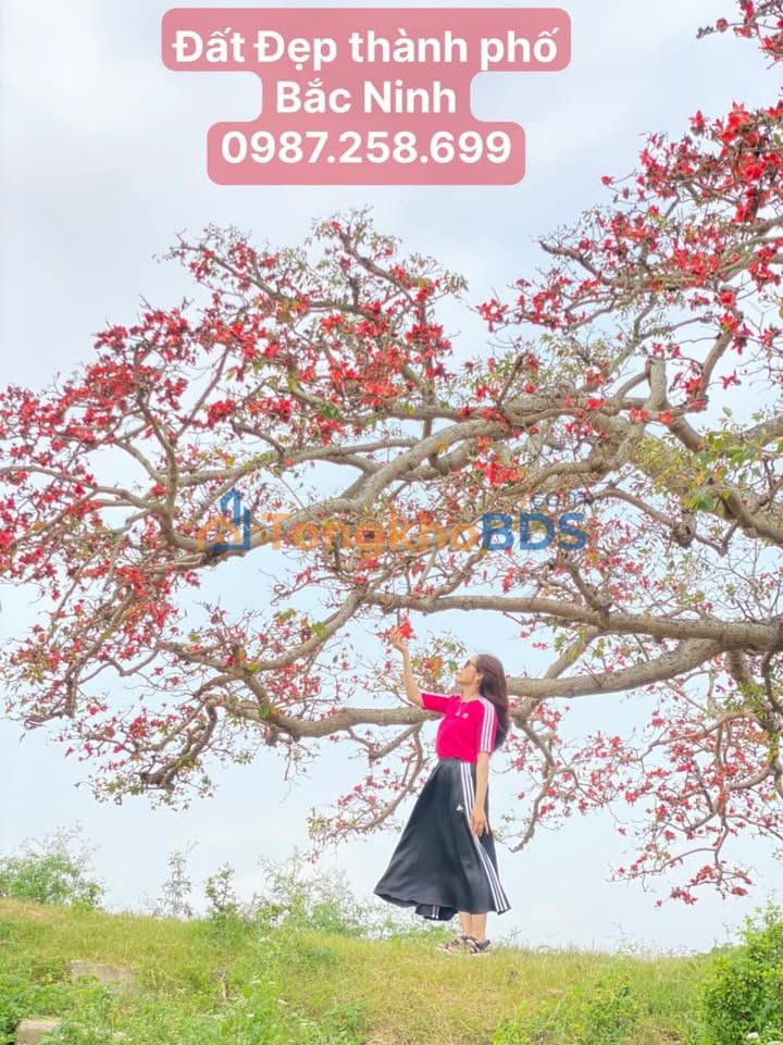 Nhà riêng Lý Thường Kiệt Lim 96m² giá 8 tỷ - Chính chủ bán