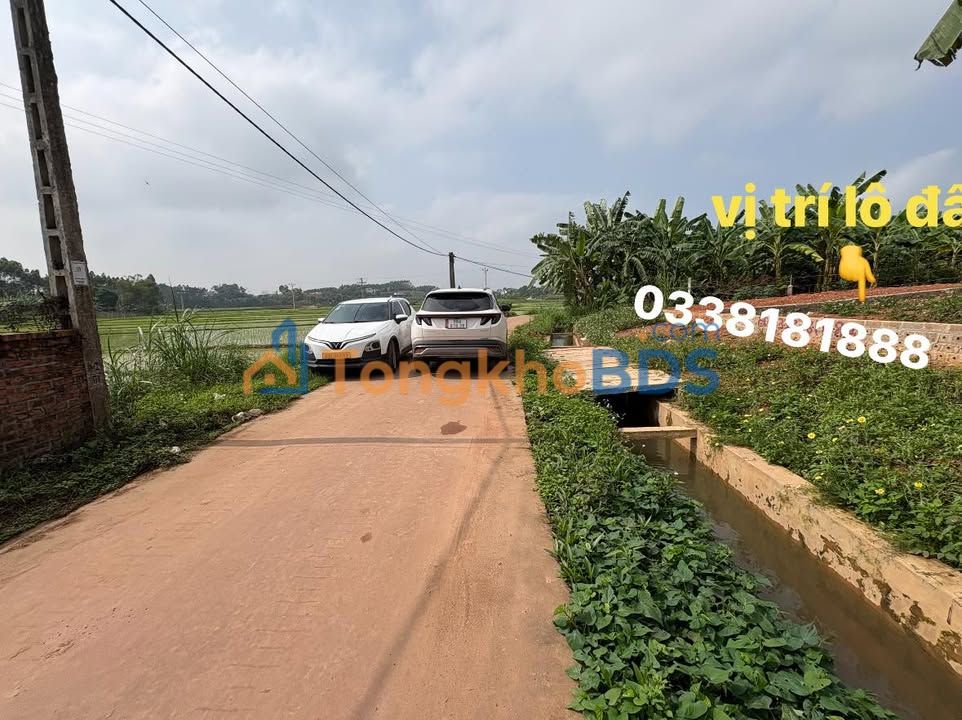 Đất nền Lạng Giang TL295 275m² - Tiềm năng tăng giá