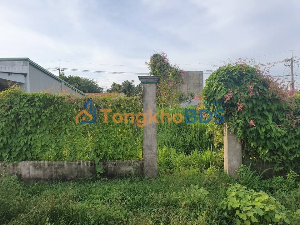 Đất nền Củ Chi TL7 120m² 1,7 tỷ - Sổ đỏ chính chủ