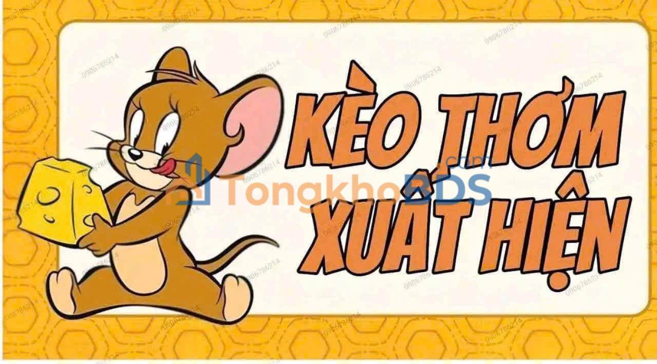 Đất nền Tân Tạo Bình Tân 100m² 4.7 tỷ - Đất thổ cư 100%