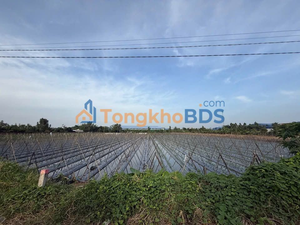 Đất nền Ba Láng Cái Răng 4.459m² 16.944 tỷ - Sổ đỏ chính chủ