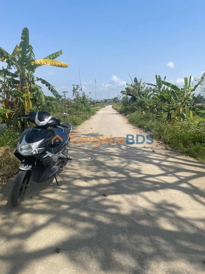 Đất nền Danko Royal Quảng Phú 100m² 1.4 tỷ - Sổ đỏ chính chủ