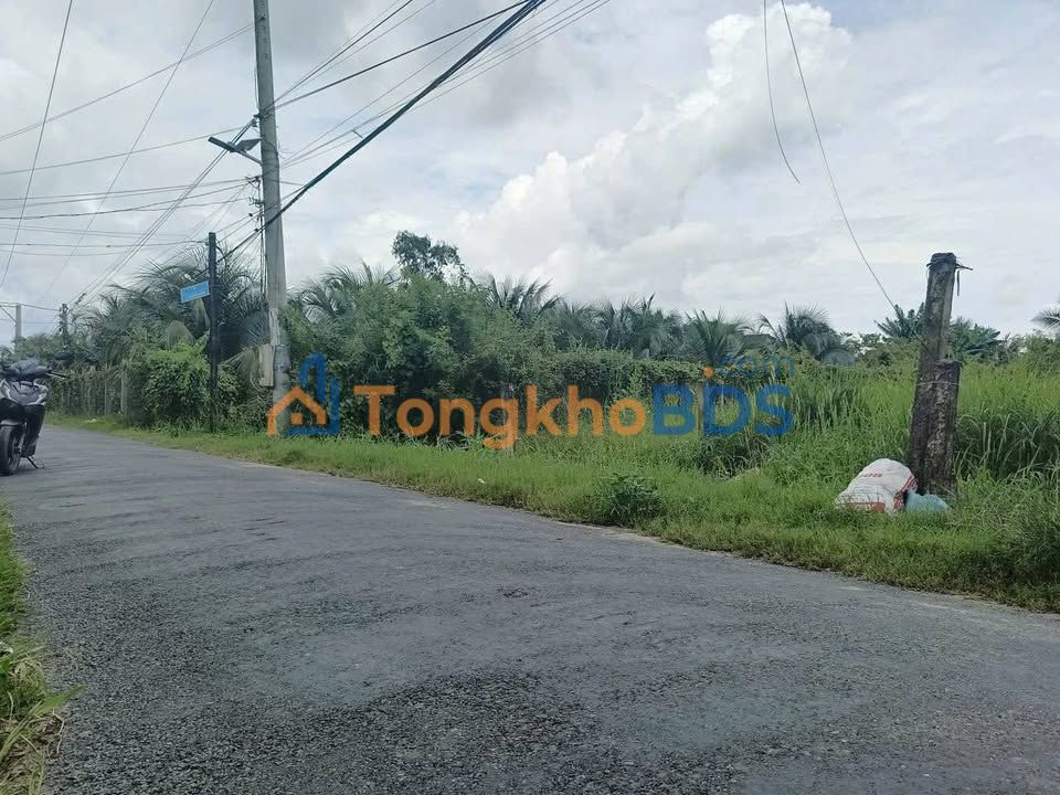 Đất nền Tân Hương 171m² 800 triệu - Sổ đỏ chính chủ