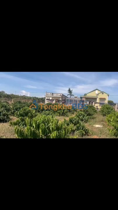 Đất Phúc Thọ Lâm Hà 2.85 tỷ - Hạ tầng hoàn thiện