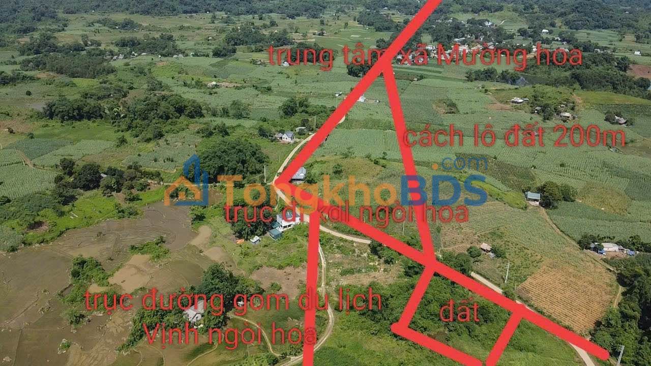 Đất nền Phú Vinh Hoài Đức 700m² 599 triệu - Sổ đỏ