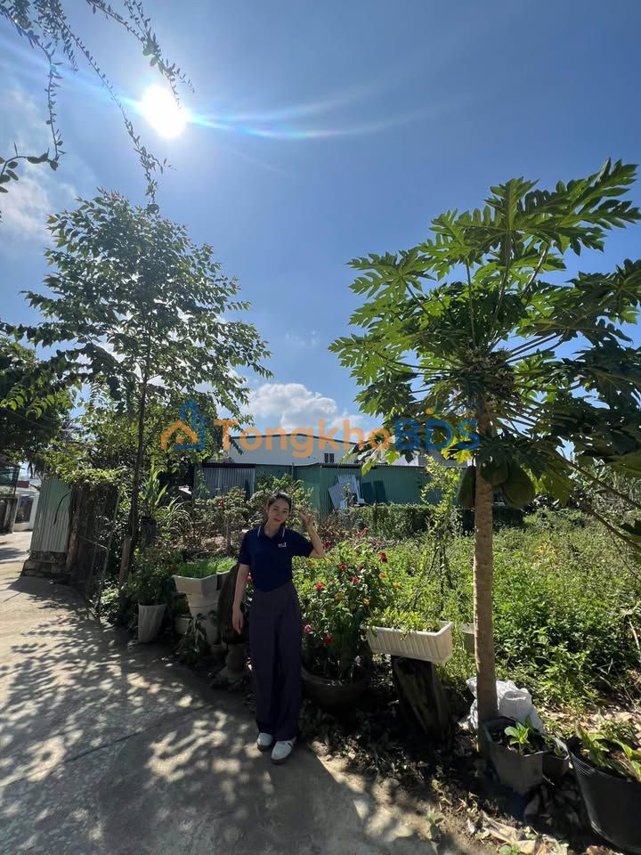 Đất Vĩnh Điềm Trung Nha Trang 98m² 3,2 tỷ - Sổ đỏ