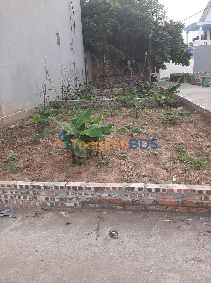 Đất Lô Góc An Bình 62m² - Mặt Tiền Rộng 7m - Giá 1.9 Tỷ