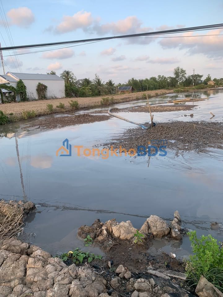 Đất nền QL1A Vĩnh Lợi 7.050m² giá 130tr/m - Sổ đỏ chính chủ