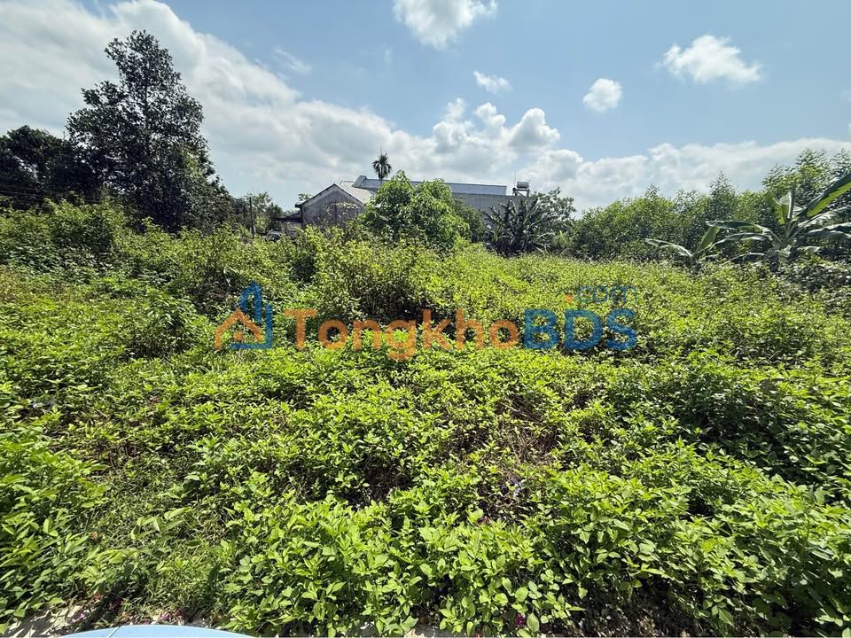 Đất nền Hòa Phong Hòa Vang 120m² 1 tỷ - Sổ đỏ chính chủ