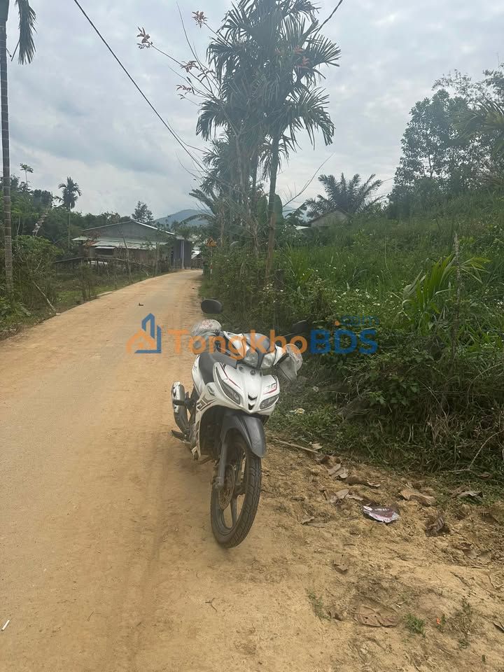 Đất nền Ba Đông Giang 4.348m² 2 tỷ - Sổ đỏ chính chủ