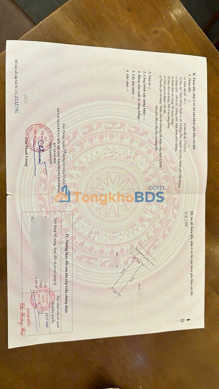 Đất nền An Lão Trường Thọ 100m² 2 tỷ - Đường to ô tô