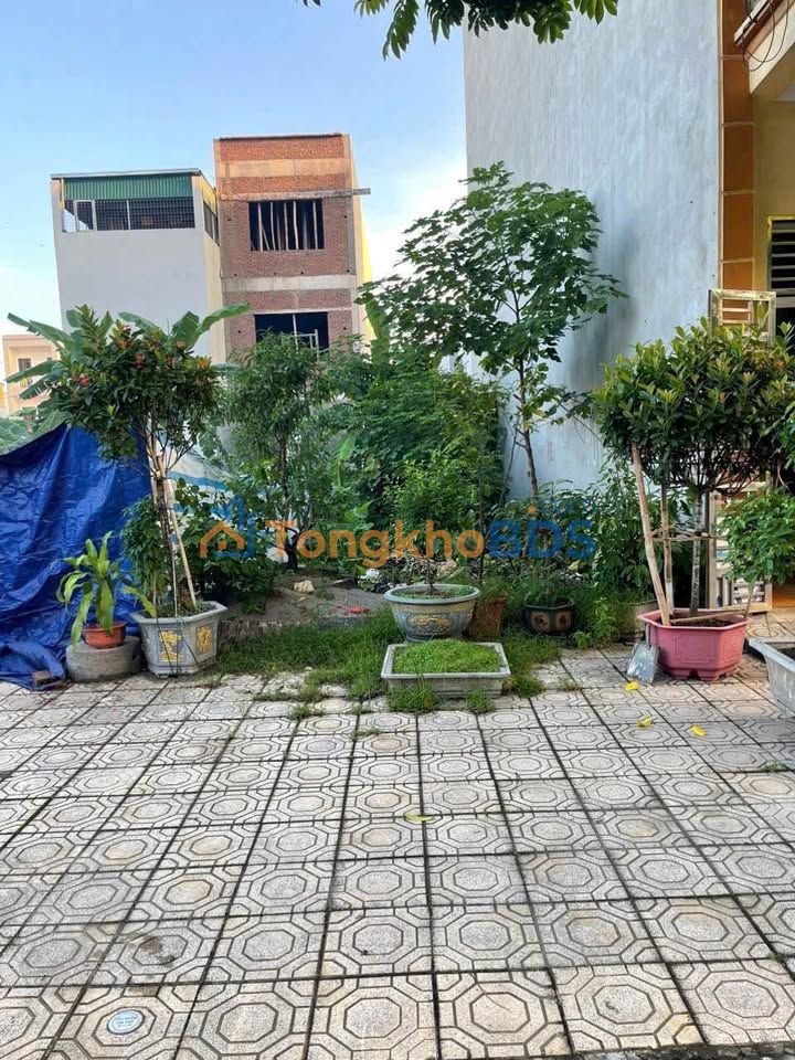 Đất Lê Hồng Phong Ninh Bình 80m² 300 triệu - Sổ đỏ chính chủ