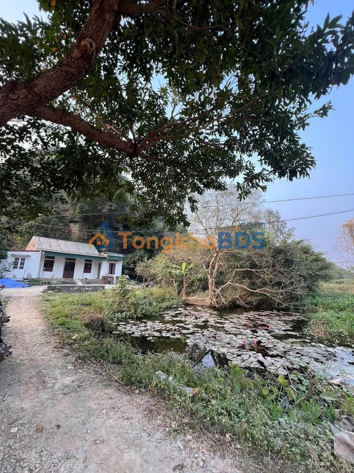 Đất Ninh Giang Hoa Lư 2.500m² thỏa thuận - Tiềm năng tăng giá