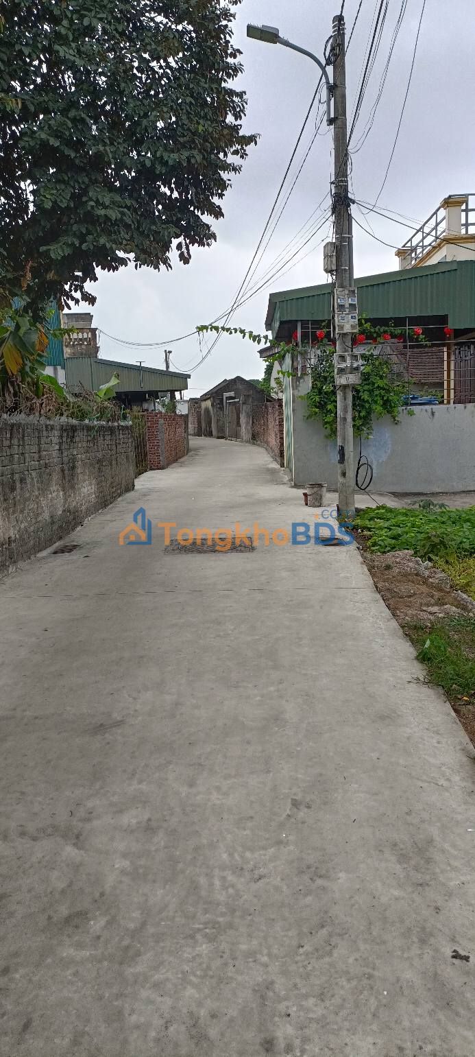 Đất nền Ninh Phúc 87m² 1 tỷ - Hạ tầng hoàn thiện