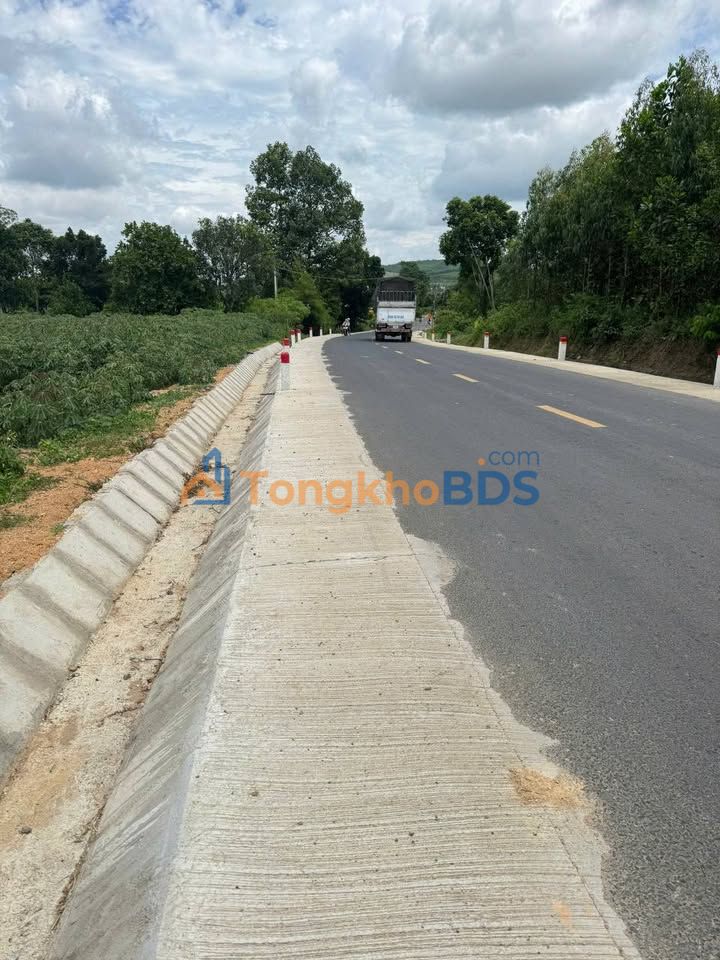 Đất nền Sơn Hội Phú Yên 3.131m² 650 triệu - Đường to ô tô