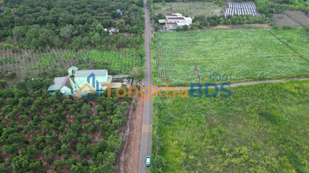 Đất mặt tiền Nông Cơ Trảng Bom 432m² 3 tỷ - Sổ đỏ chính chủ