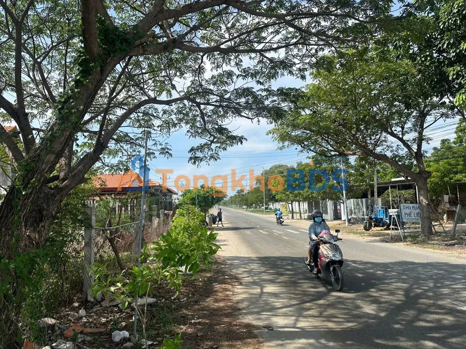 Đất Nền 2 Mặt Tiền Tri Thủy, Hà Nội - 447m² Sẵn Sổ Đỏ, Giá 10 Triệu/m²