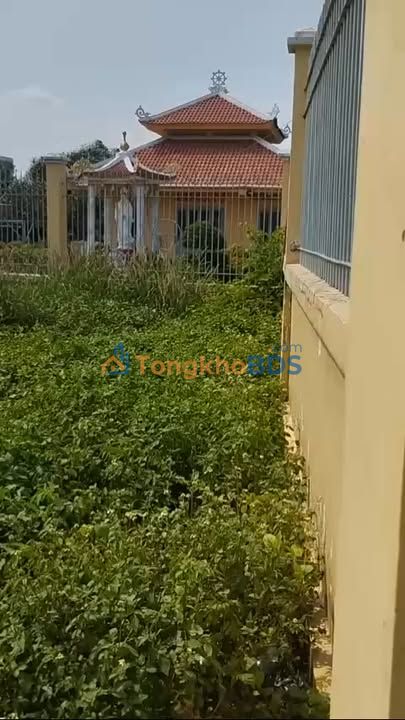 Mặt bằng đất QL1A Q12 1124m² 23tr - Hoạt động ngay