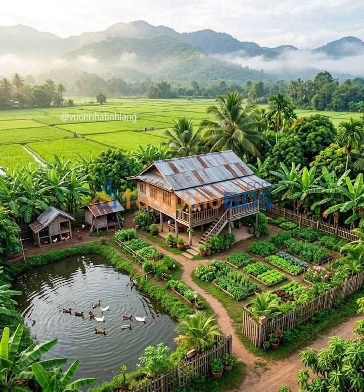 Đất nền Bà Điểm Hóc Môn 600m² 3.2 tỷ - Sổ đỏ chính chủ