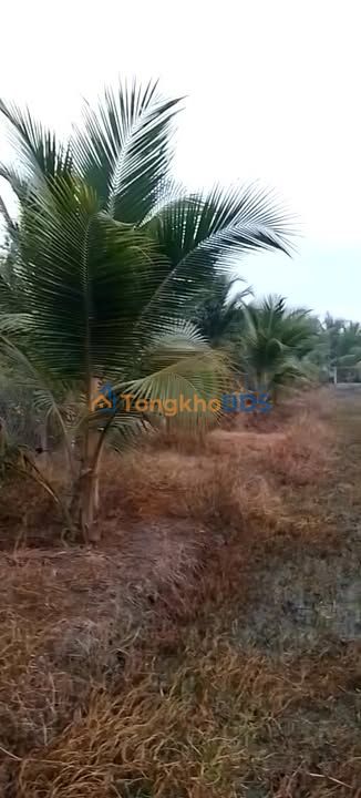 Đất nền Long Định 3.300m² giá 1 tỷ - Tiềm năng tăng giá