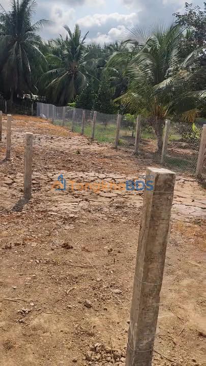 Đất nền Tân Phú Đông 175m² 427 triệu - Sổ đỏ chính chủ