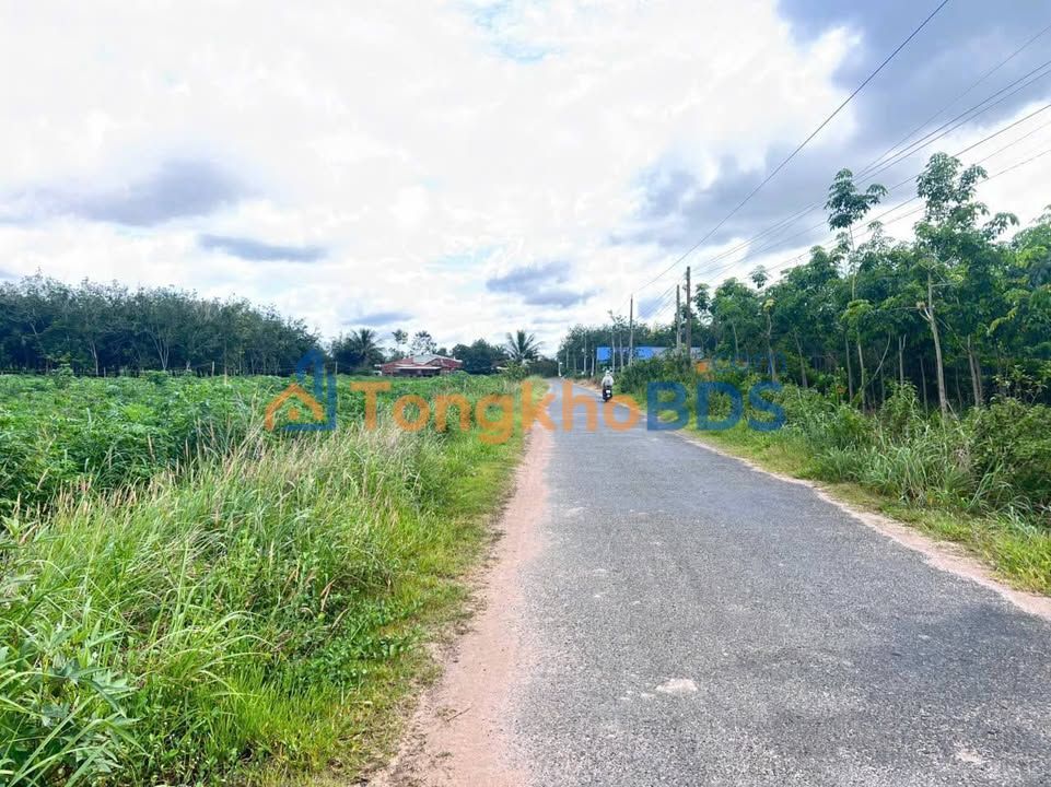 Đất Tân Bình Tân Biên 240m² 170 triệu - Đường to ô tô