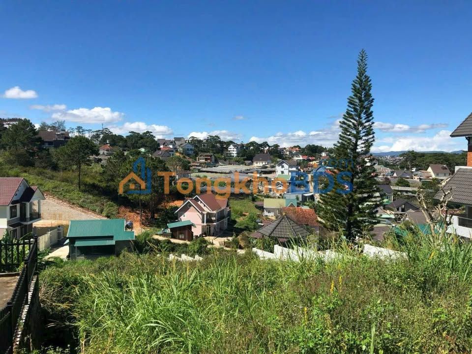 Đất Trịnh Hoài Đức P11 Đà Lạt 649m² 19 tỷ – Xây dựng tự do