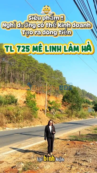 Đất nền TL725 Cam Ly 300m² 1,999 tỷ Sổ hồng chính chủ