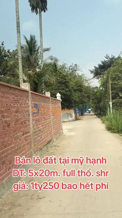 Đất nền Ấp Mới 1 Mỹ Hạnh 100m²/1,25 tỷ - Sổ đỏ chính chủ