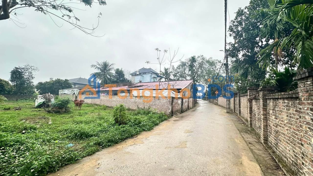 Đất nền Yên Khoái Thụy An 316m² 2.6 tỷ - Pháp lý rõ ràng