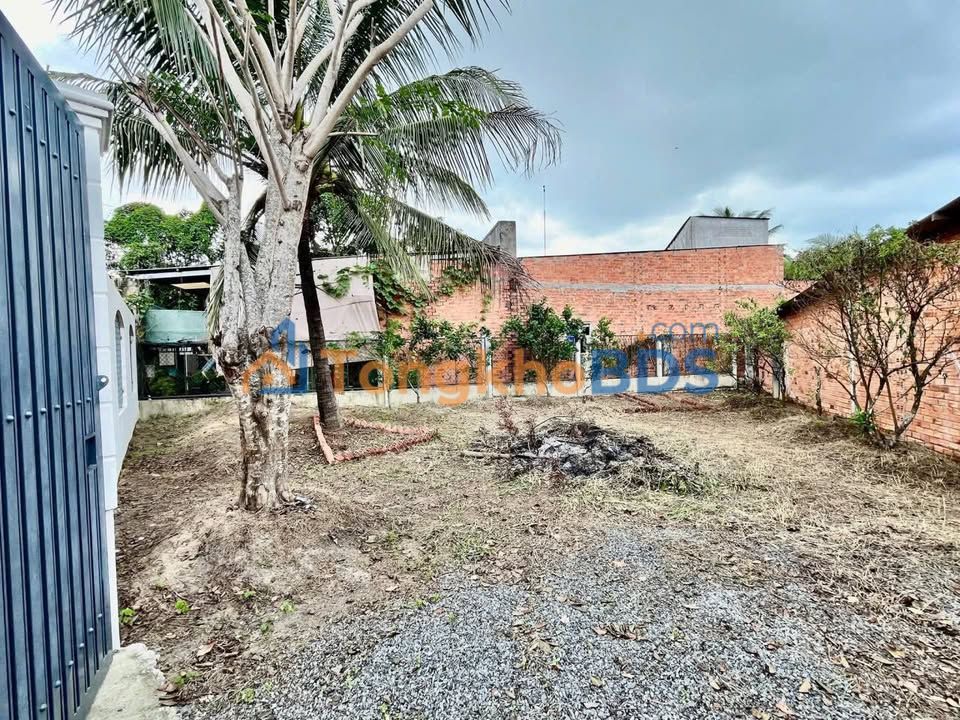 Đất nền Trung Lập Thượng Củ Chi 257m² 2.3 tỷ - Xây dựng tự do