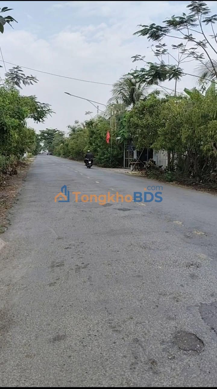 Đất nền Tam Bình Cai Lậy 100m² 10 tỷ - Sổ đỏ chính chủ