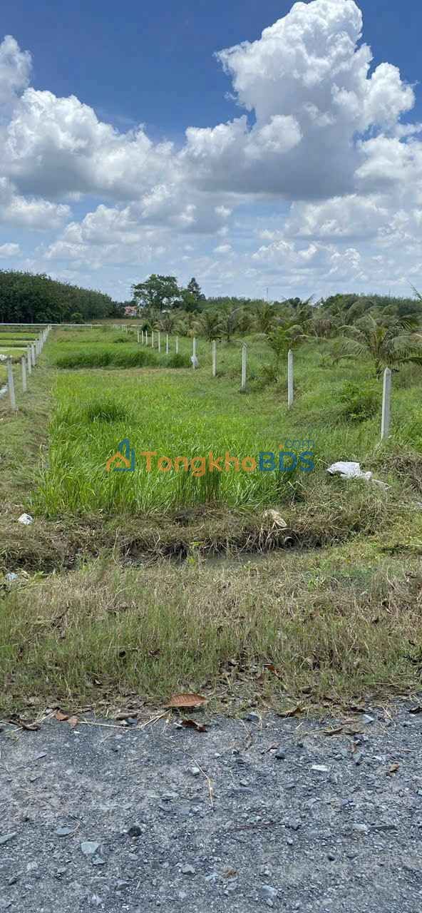 Đất nền Xã Thái Mỹ 1500m² 1.25 tỷ - Đường to ô tô