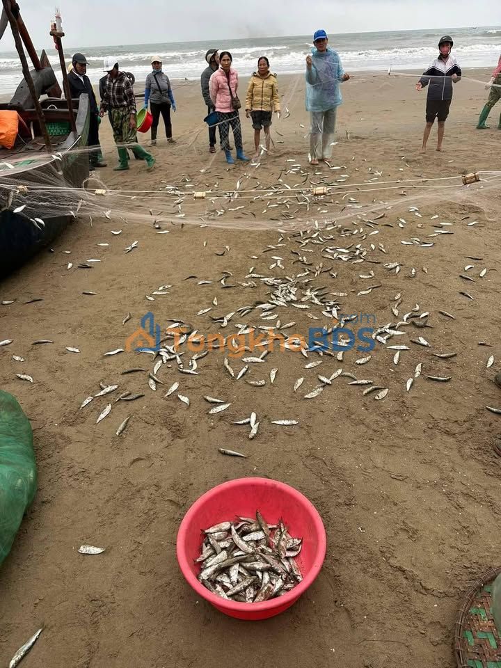 Đất nền Quảng Hải Quảng Xương 1.366m² 5,464 tỷ - Sổ đỏ chính chủ