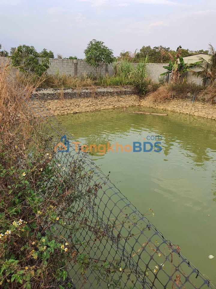 Vườn cho thuê Chùa Miên, Tân Xuân, Đồng Xoài 1.440m² - Nghỉ dưỡng lý tưởng