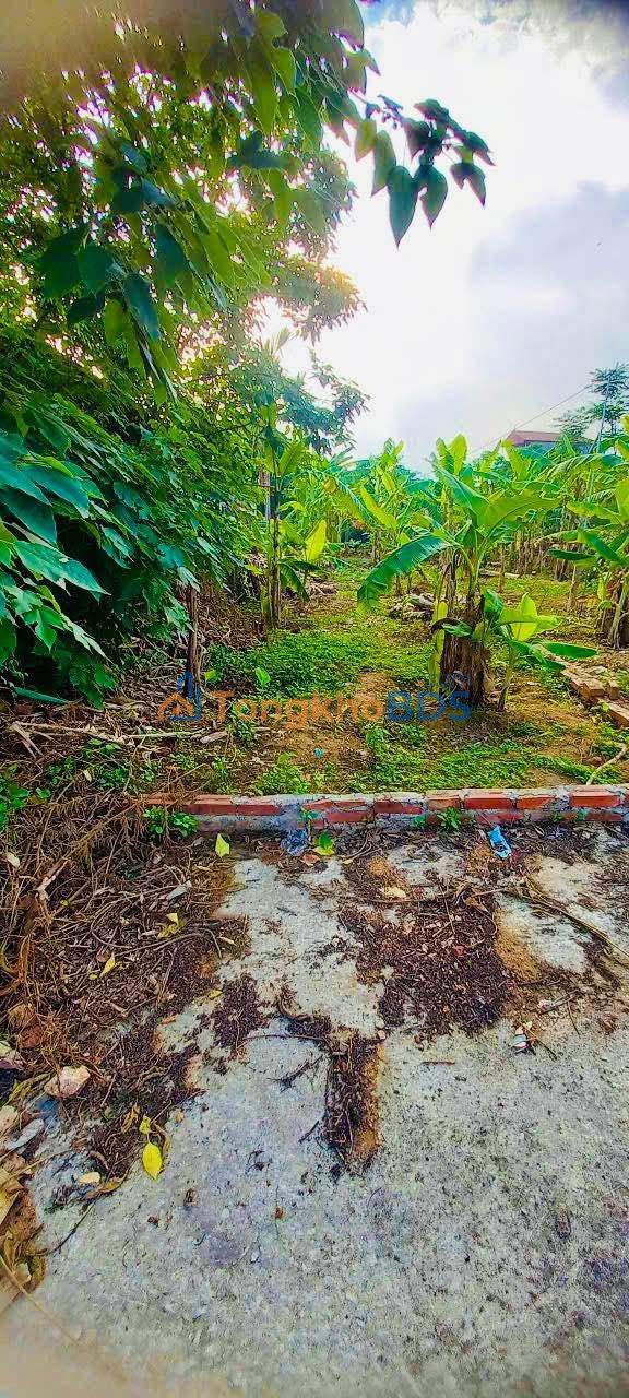 Đất nền Quế Võ 138m² gần KCN - Sổ đỏ sẵn sàng, đầu tư đón đầu