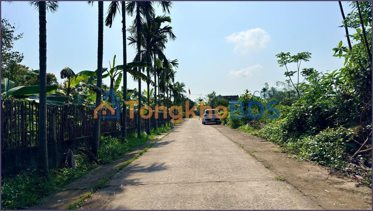 Đất nền Tân An, Hà Tĩnh 250m² - Đường to ô tô