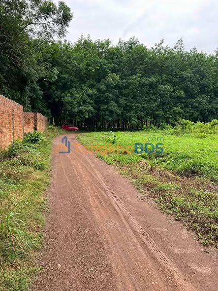 Đất An Bình Phú Giáo 710 triệu - Thổ cư 100%