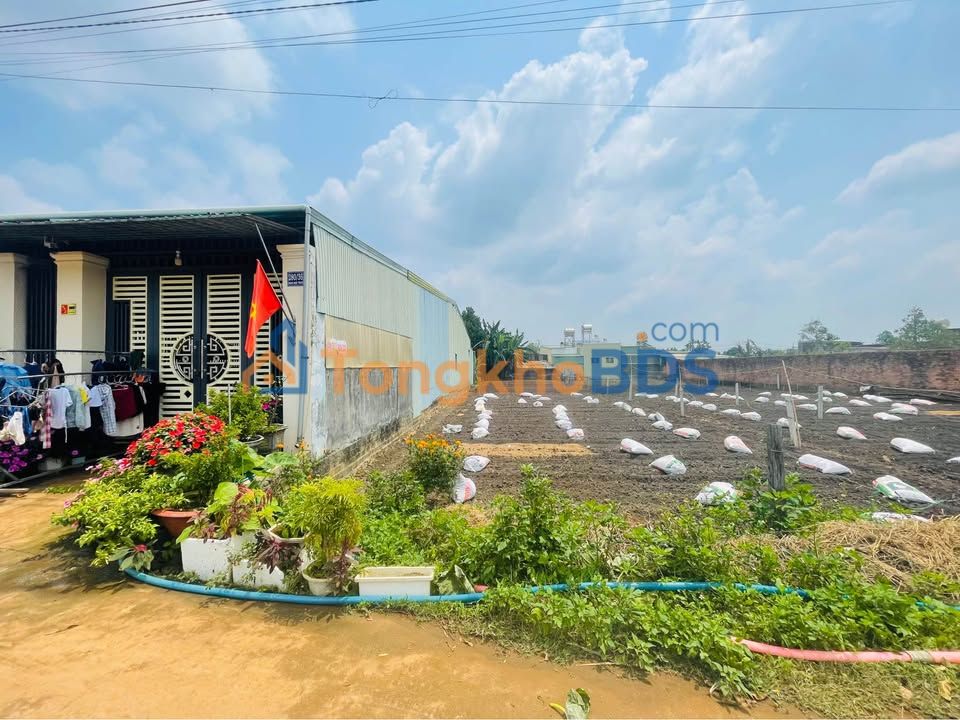 Đất Quy Nhơn Phạm Ngọc Thạch 100m² 1.5 tỷ - Sổ đỏ