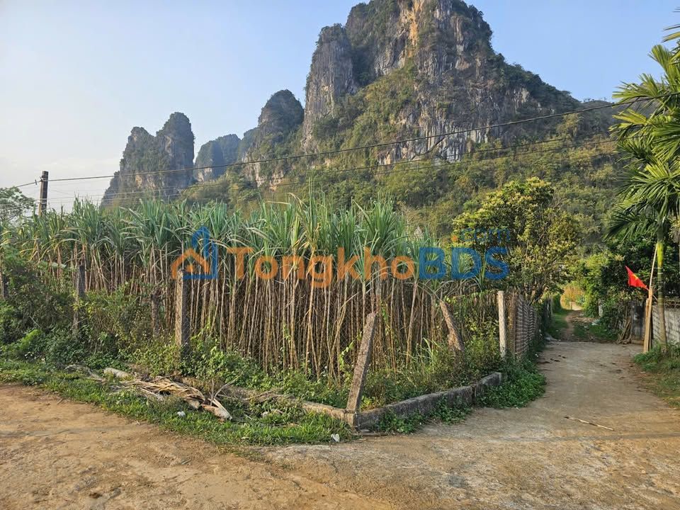 Đất nền Hợp Phong Cao Phong 3561m² giá 2,8 tỷ - Tiềm năng tăng giá