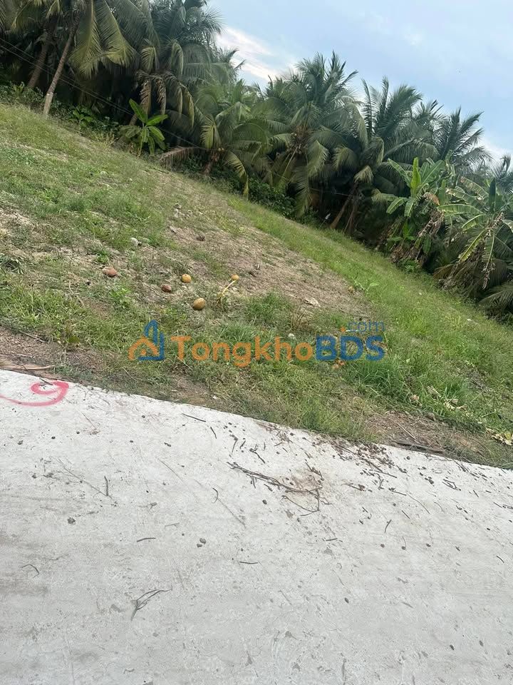 Đất nền An Thạnh Thủy 138m² 195 triệu - Đất thổ cư 100%