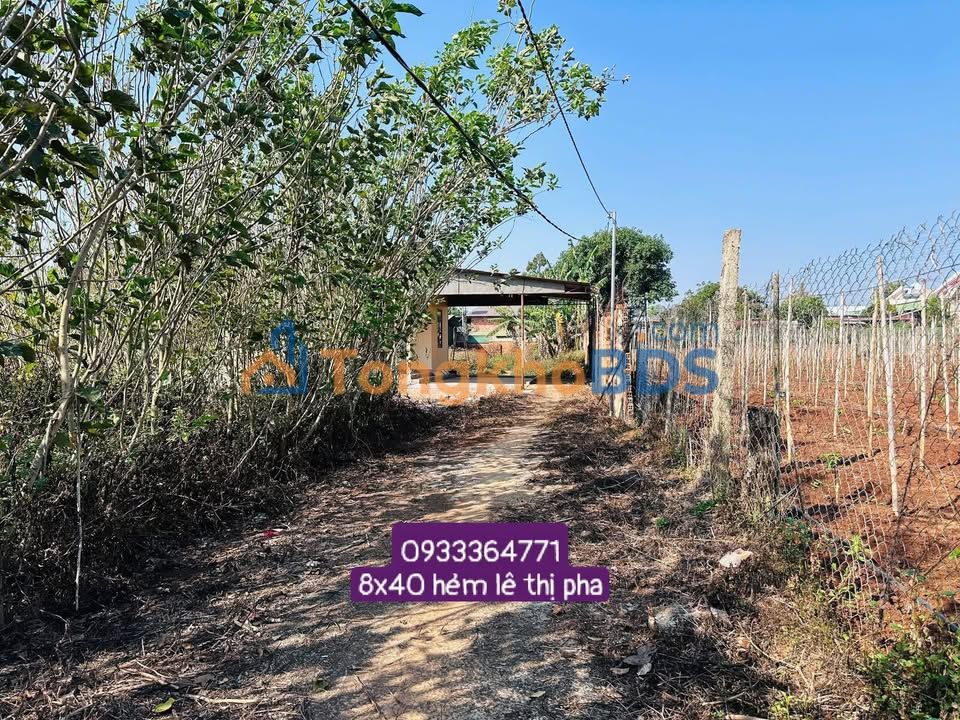 Đất nền Đức Trọng Lâm Đồng 320m² 1.3 tỷ - Tiềm năng tăng giá