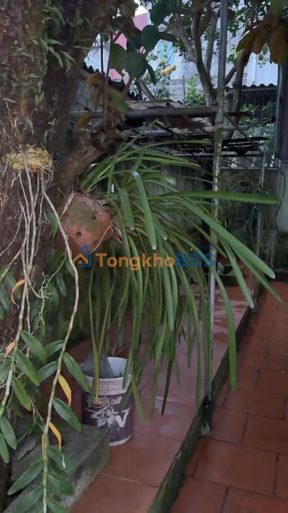 Nhà vườn TT Vĩnh Lộc 229m² giá thỏa thuận - Chính chủ bán