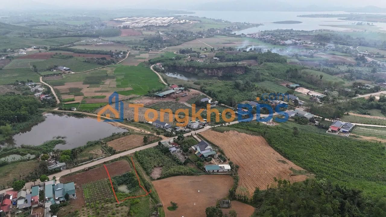 Đất Thanh Tân 1000m² thỏa thuận - Đường ô tô