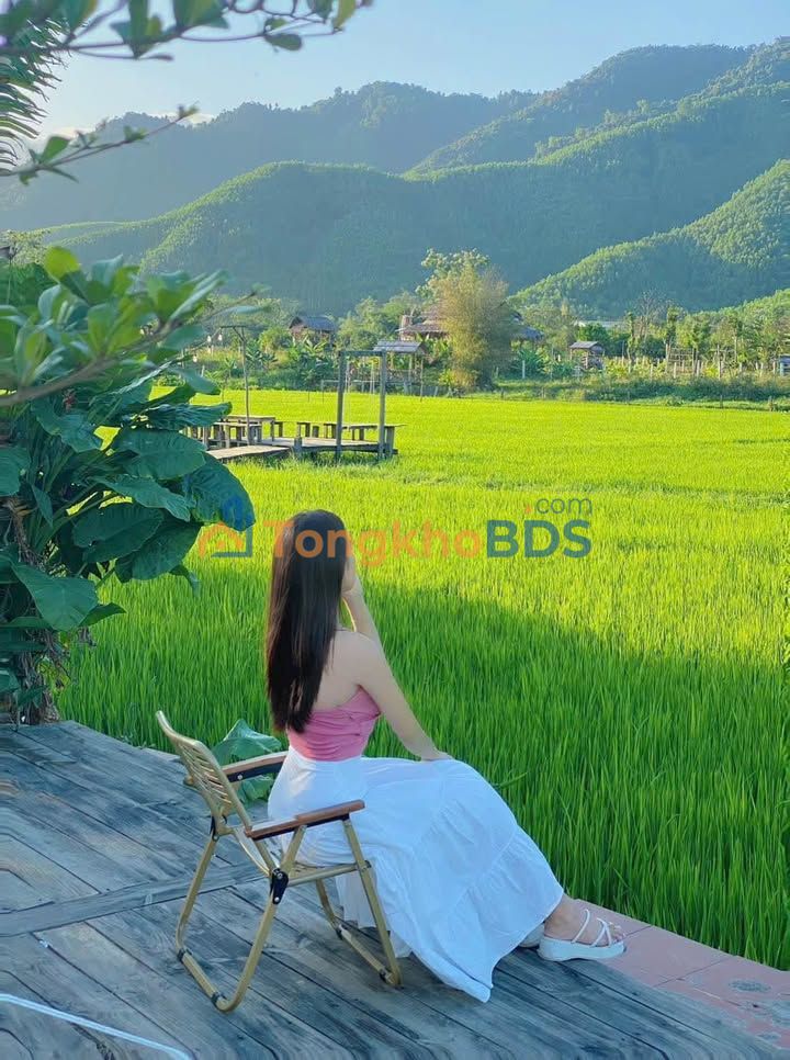 Đất vườn Hòa Bắc Đà Nẵng 650m² - Sổ đỏ chính chủ