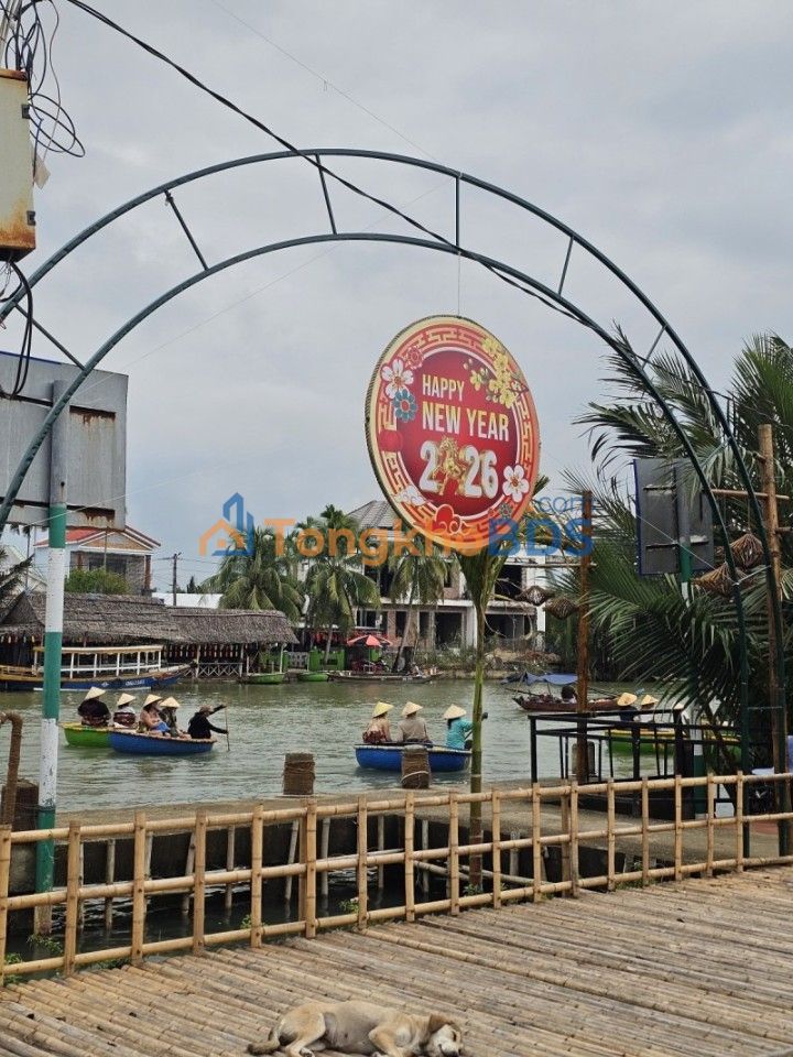 Đất rừng dừa Cẩm Phô Hội An 80m² - Đầu tư dài hạn