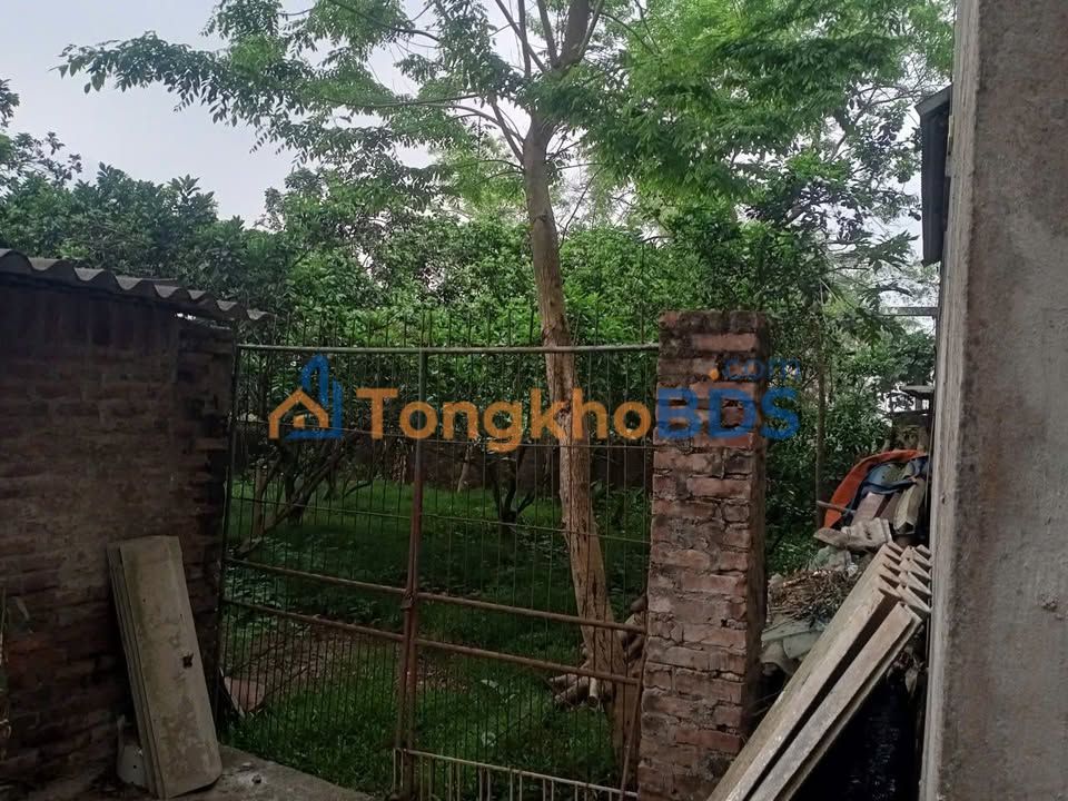 Đất nền Tiến Thắng Mê Linh 186m² 2 tỷ - Sổ đỏ chính chủ