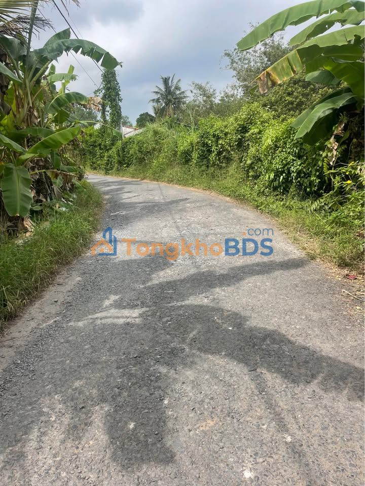 Đất nền Tân Hạnh Long Hồ 256-330m² giá 1.792-2.31 tỷ - Sổ đỏ chính chủ