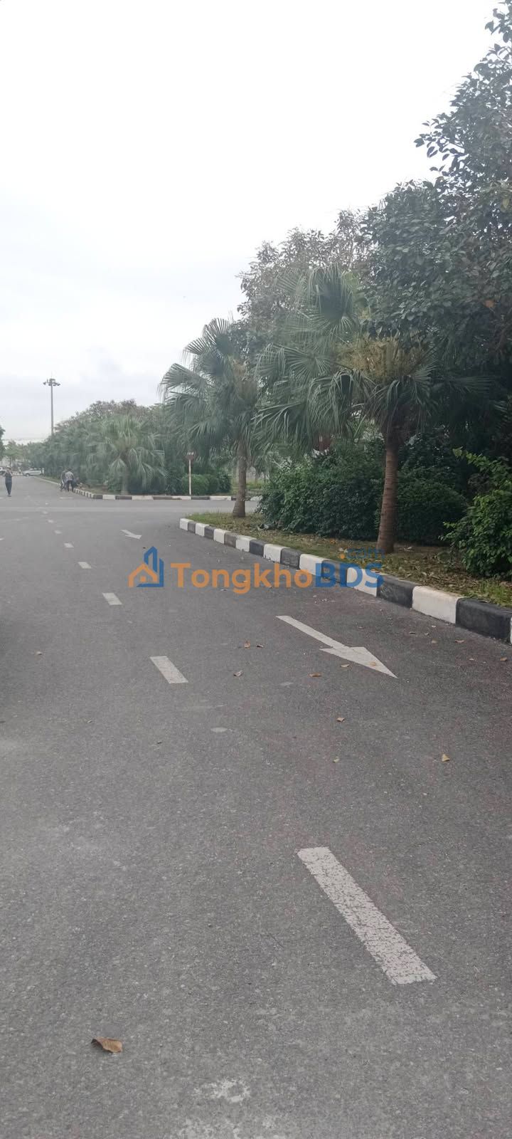 Nhà Mặt Tiền Phố Nối House 75m² - Kinh Doanh Đa Ngành, Sổ Đỏ Sẵn Sàng - 6 Tỷ