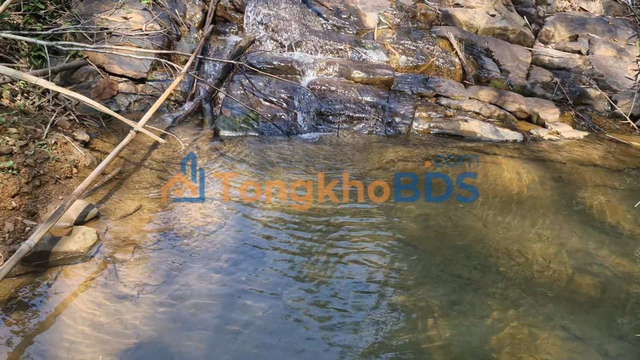 Đất Nền 19440m² Lộc Bắc, Bảo Lâm - Sổ Sẵn, Giá Đầu Tư 1.1 Tỷ